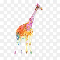 长颈鹿色彩素材图片