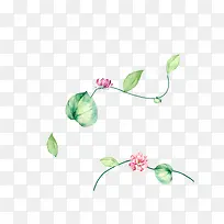 手绘水彩绘画花卉