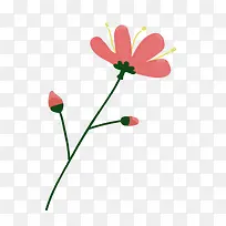 花植物粉色花苞