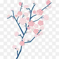 美丽樱花节樱花树枝