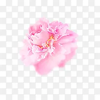 粉红色浪漫花团元素