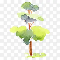 创意园林水彩银杏树图案