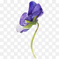 紫色花卉水墨图案