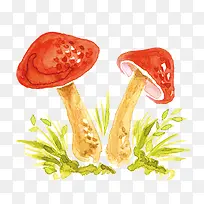 水彩手绘蘑菇装饰元素