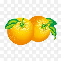 金桔橙子