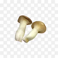 蘑菇蔬菜