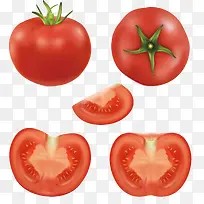 新鲜的西红柿矢量图