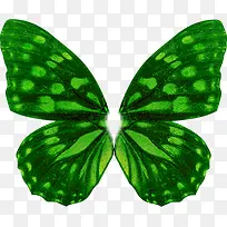 绿色艺术亮光蝴蝶