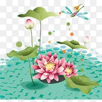荷花素材下载