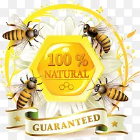 蜜蜂和蜂蜜标签矢量素材