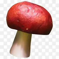 红色漂亮蘑菇