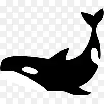 黑色扁平大海鲸鱼