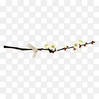 白色花都素材黑色树枝