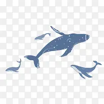 治愈系插画海洋生物鲨鱼遨游