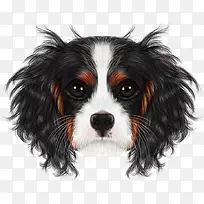 卡通手绘黑色逼真猎犬