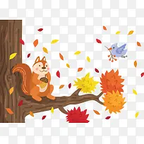 秋天落叶树枝松鼠