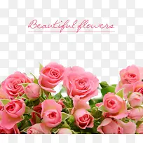 浪漫粉色玫瑰花束