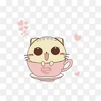 茶杯里的小猫