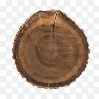 深棕色皮质凸起的木头截面实物