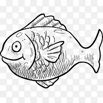 手绘素描鱼png