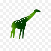 绿色的长颈鹿