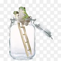 透明玻璃瓶上的青蛙