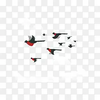 空中自由飞翔的鸟群