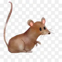 水彩手绘棕色的小老鼠设计