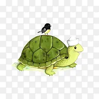 乌龟上的鸟水彩插画