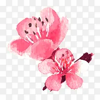 水彩手绘桃花设计元素