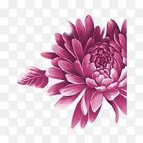 紫色牡丹花中国风装饰元素