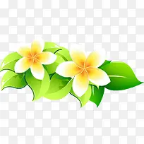 黄色清新花朵鲜花