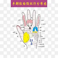 手部经络图