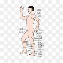 人体穴位