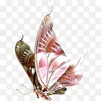 高清创意摄影在空中飞舞的蝴蝶