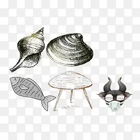小鱼贝壳