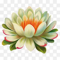 手绘绿色莲花