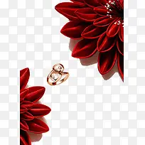 红色装饰花和戒指