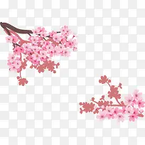 对角装饰粉红樱花