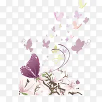 蝴蝶鲜花