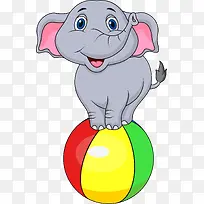 大象站在彩色球上
