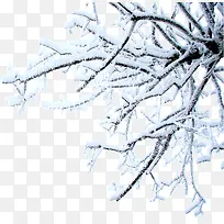 冰雪美景郊外树木