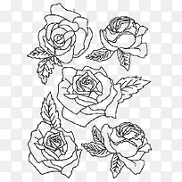 三朵不同造型的玫瑰花