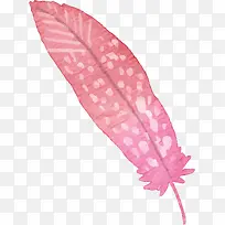 粉红色水彩手绘羽毛