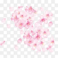 漂浮的樱花