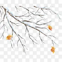 冬季树枝上的黄叶