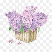手绘紫色花朵花卉插花