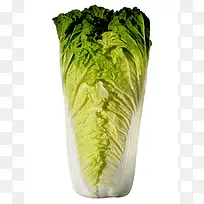 食物图案卡通食物图片 蔬菜 白菜