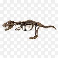 霸王龙骨架生物化石视图
