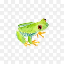 水墨彩绘的小跳蛙
